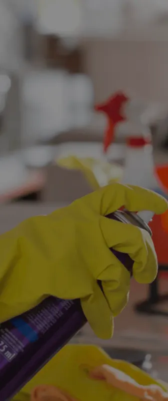 Reliable Residential & Commercial Cleaning in Clearwater, FL