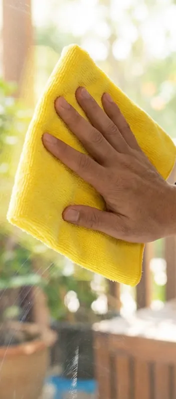 Expert Window Cleaning in Clearwater, FL